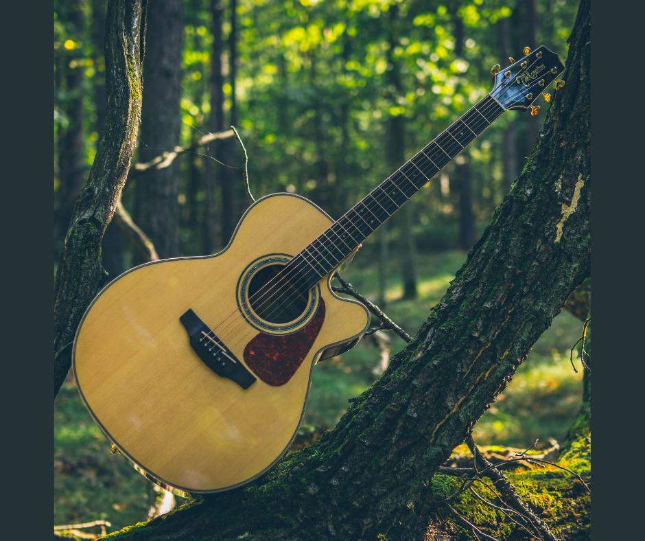Takamine - Jak dbać o gitarę w różnych warunkach pogodowych